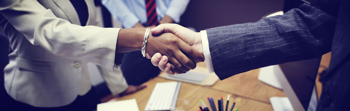 Professional Financial Advice